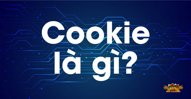 Cookie là gì