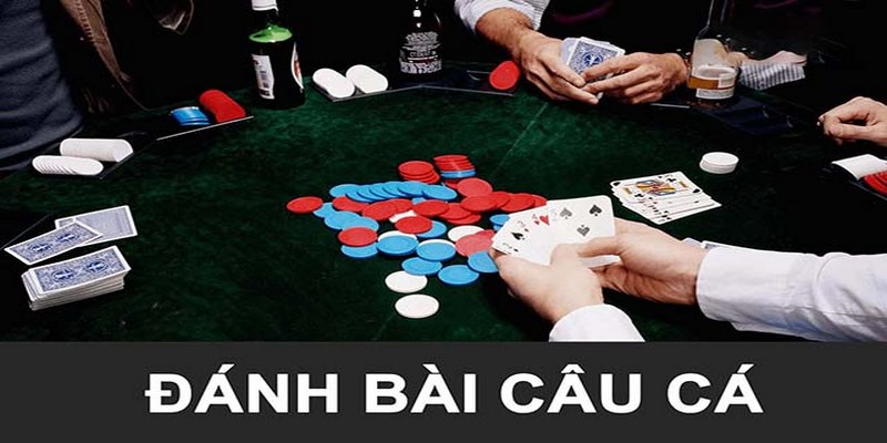 Đôi nét về cách chơi bài câu cá và các thông tin quan trọng khác